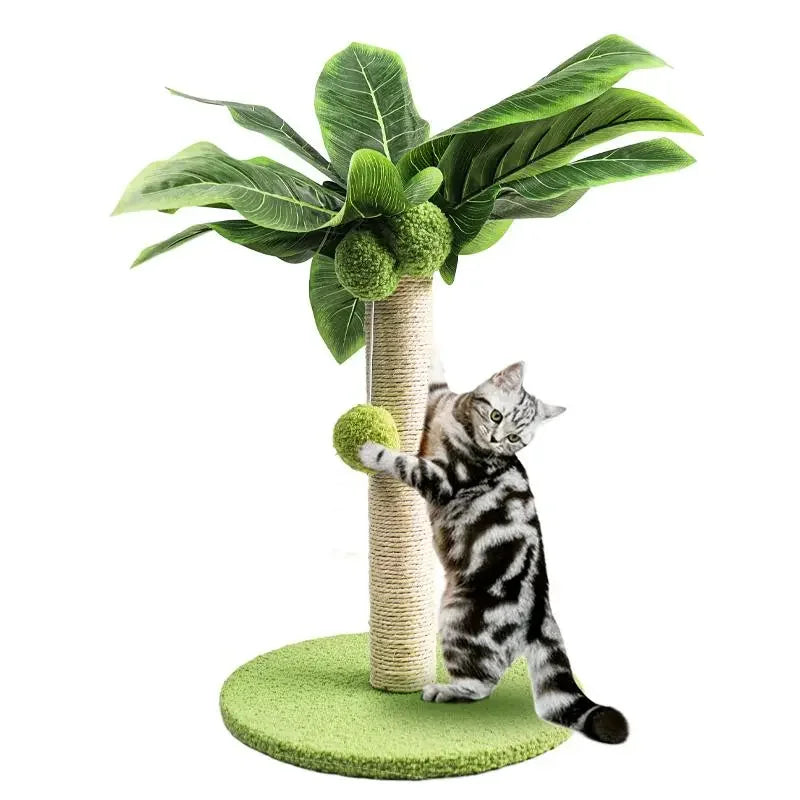 Cat Scratching Post with Sisal Rope