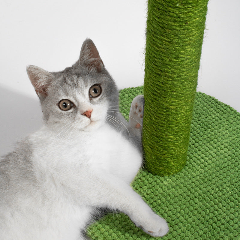 Cat Scratching Post for Kitten with Plush Ball Toy