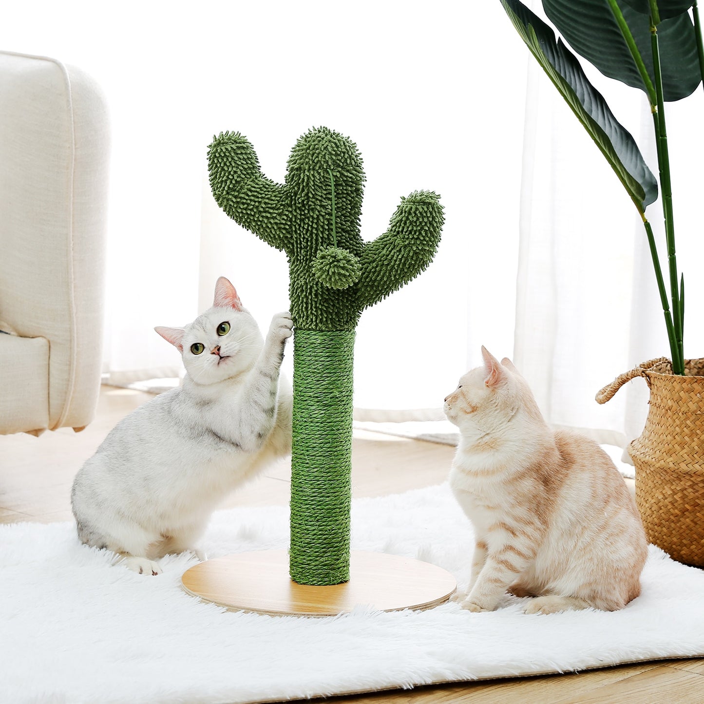 2 Size Cactus Style Cat Tree House Climbing Stratching Post