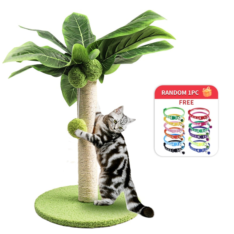 Cat Kitten Scratching Post with Sisal Rope